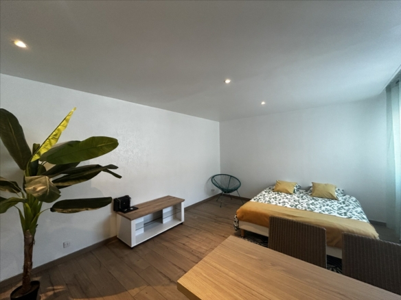 Lumineux studio au rez-de-chaussée – COLMAR