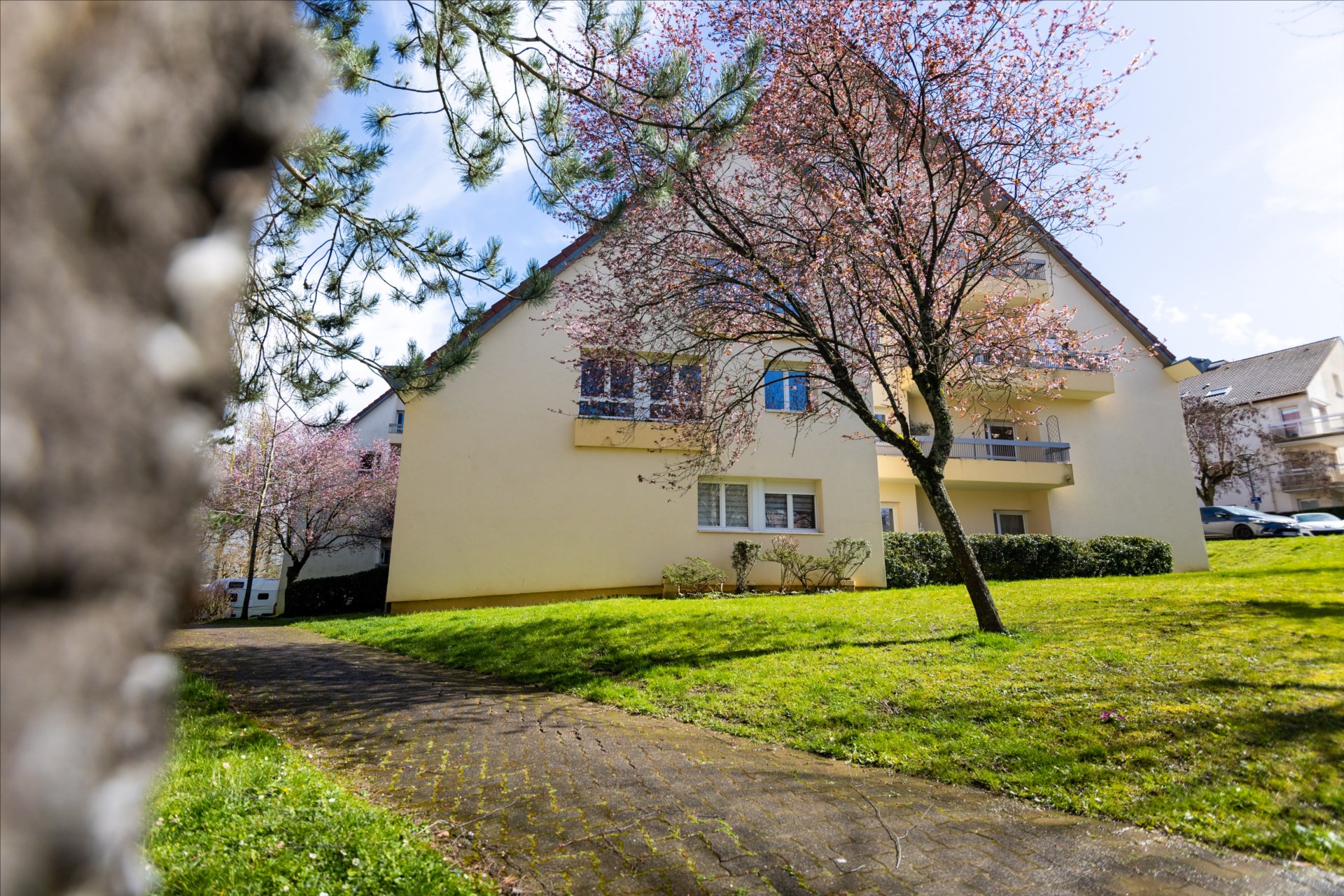 Appartement colocation avec 3 chambres en parfait état