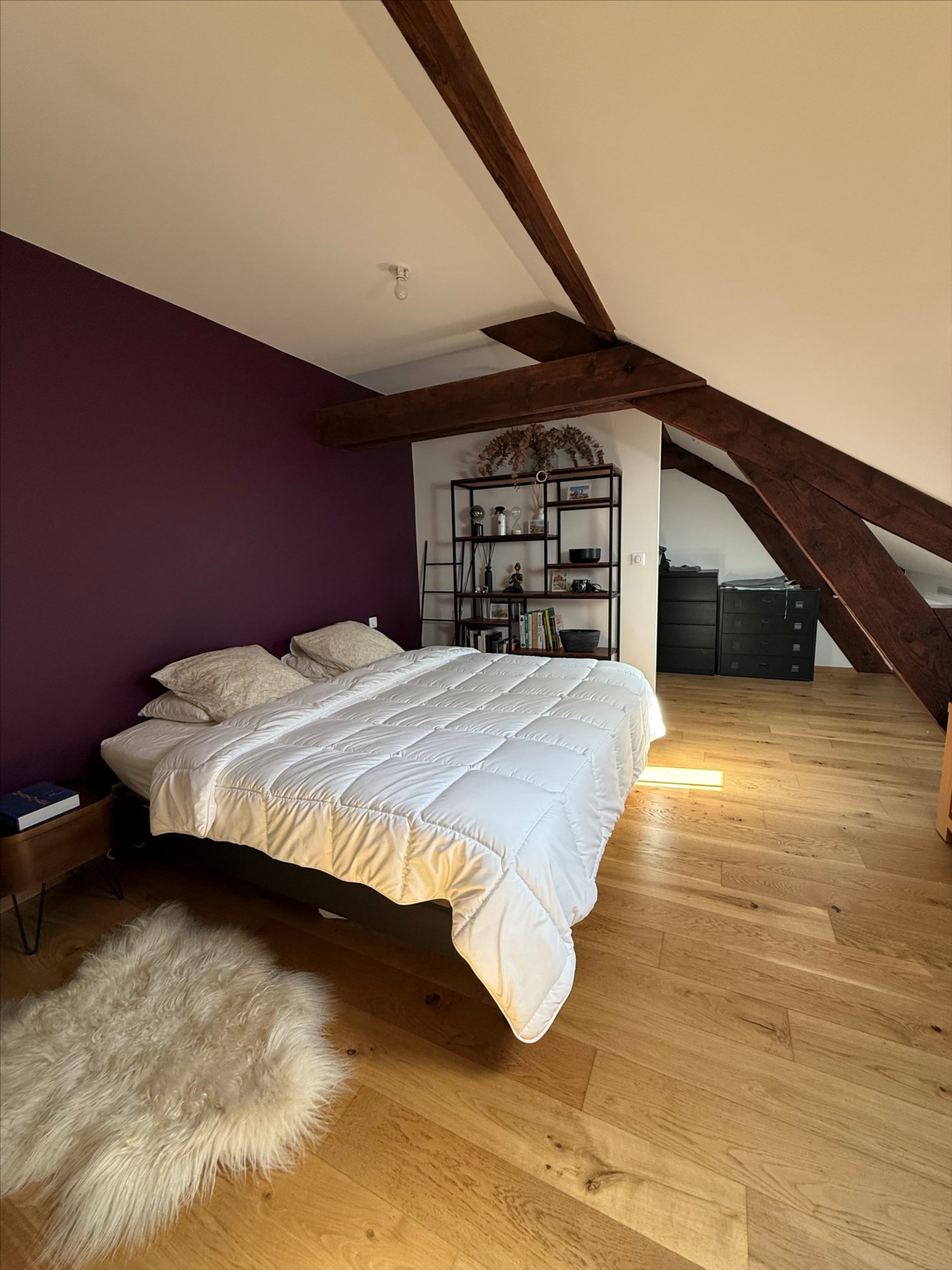 NANCY RIVES DE MEURTHE, superbe loft rénové de 100m² avec parking privatif