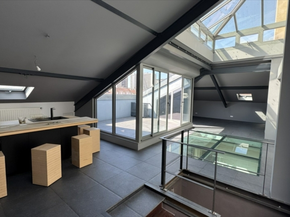 NANCY CENTRE – Hôtel particulier de prestige de 266 m² – Idéal professions libérales