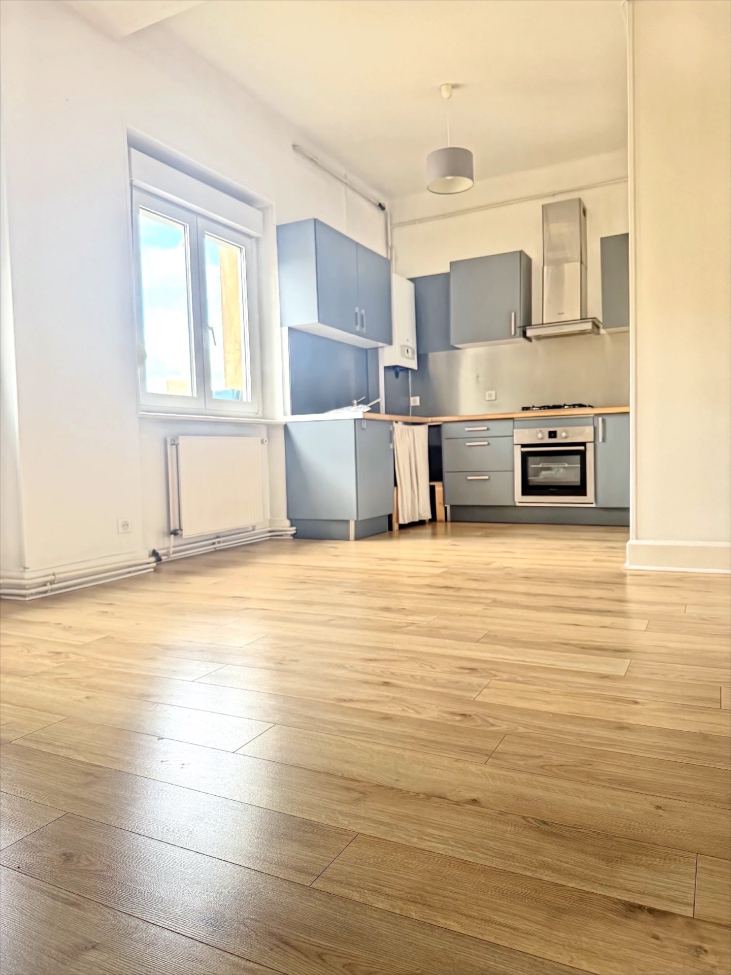 RIVES DE MEURTHE A NANCY, 3 pièces rénové à vendre