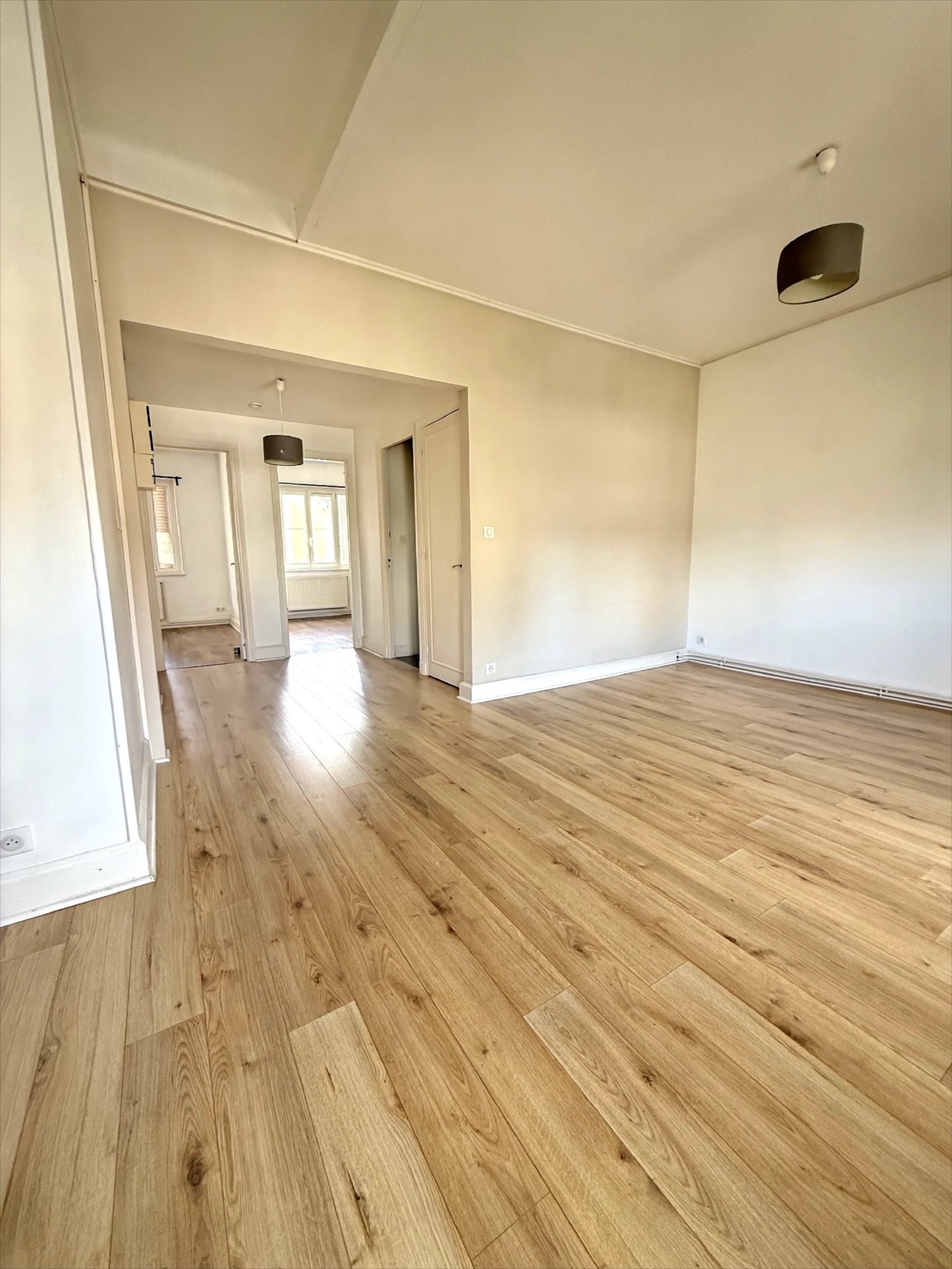 RIVES DE MEURTHE A NANCY, 3 pièces rénové à vendre